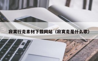 萍乡寂寞行走素材下载网站（寂寞走是什么歌）