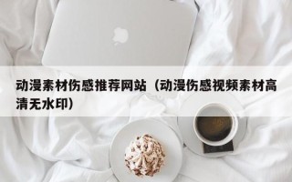 萍乡动漫素材伤感推荐网站（动漫伤感视频素材高清无水印）